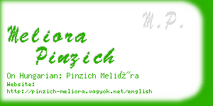 meliora pinzich business card